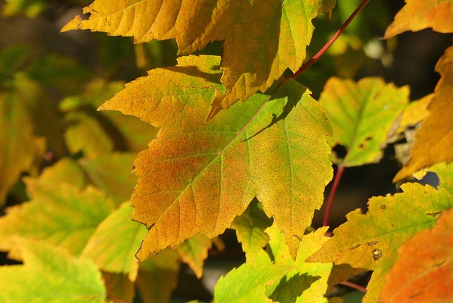edukacyjne szkolenie crowdfunding w sali warsztatowej Kraków